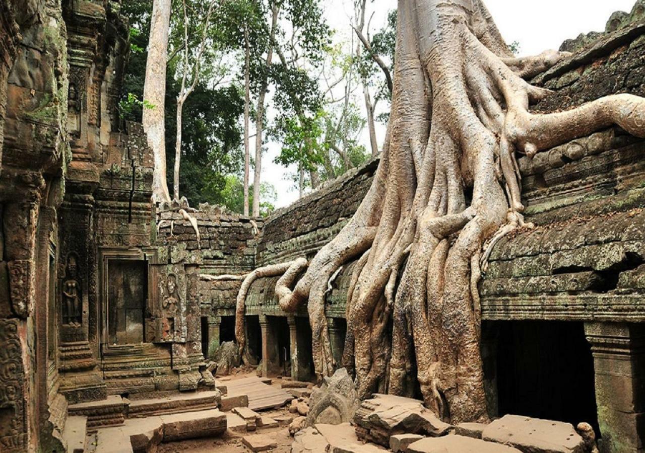 Anachak Angkor Residence Sziemreap Kültér fotó