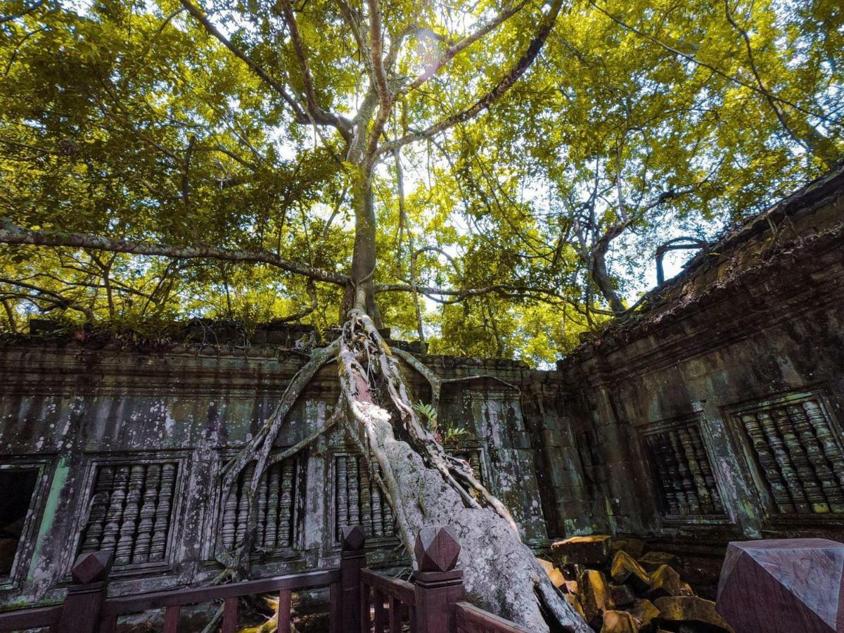 Anachak Angkor Residence Sziemreap Kültér fotó
